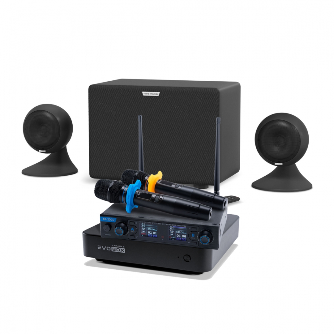 караоке-комплект EVOBOX + EvoSound Sphere 2.1 в Томской области