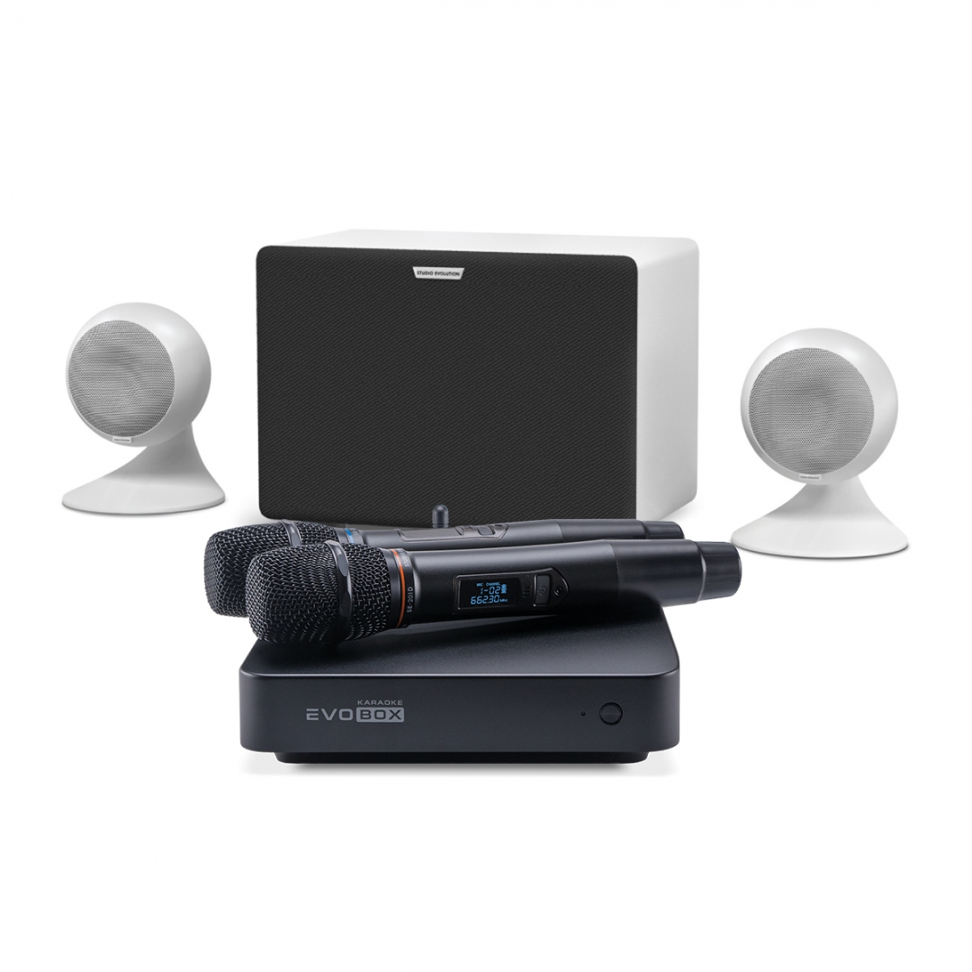 караоке-комплект EVOBOX Classic + EvoSound Sphere 2.1 в Томской области