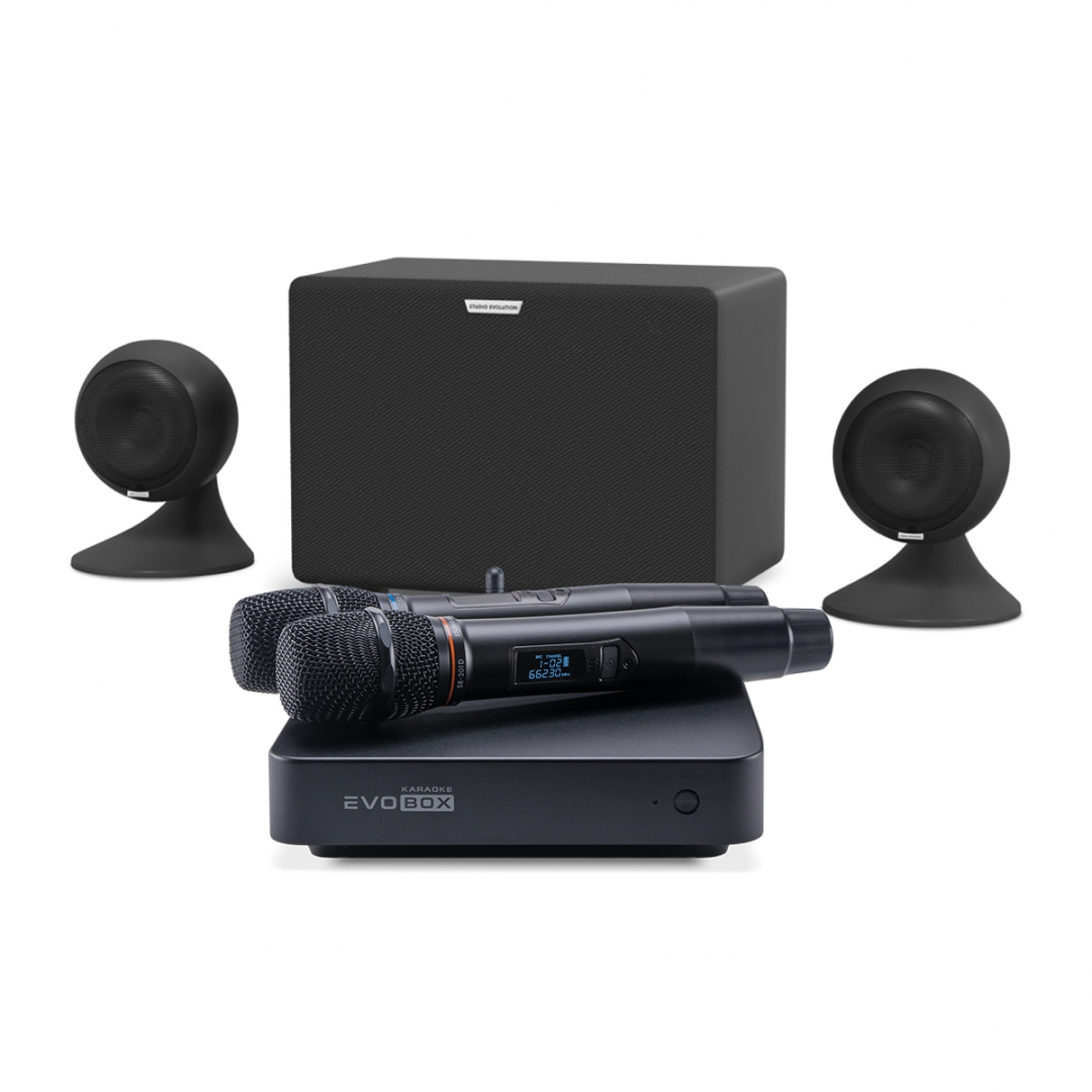 караоке-комплект EVOBOX Plus + EvoSound Sphere 2.1 в Томской области
