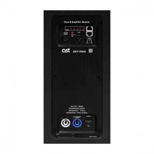 Активная акустическая система AST-310A в Томской области